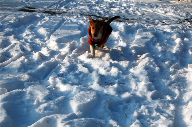 DSC_0003.JPG