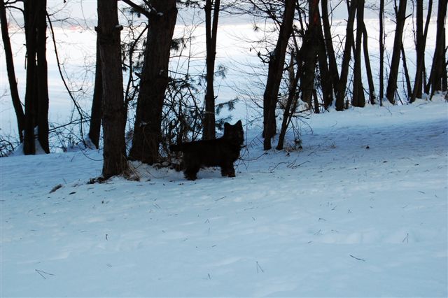 DSC_0013.JPG