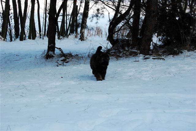 DSC_0015.JPG