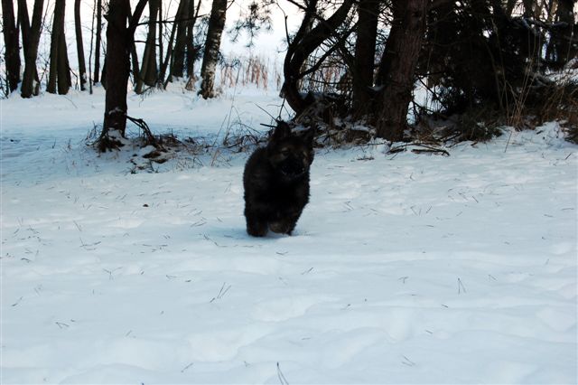 DSC_0016.JPG