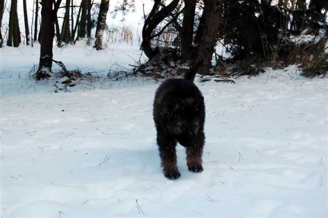 DSC_0017.JPG