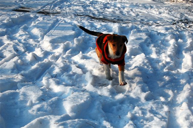 DSC_0004.JPG