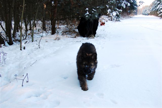 DSC_0025.JPG