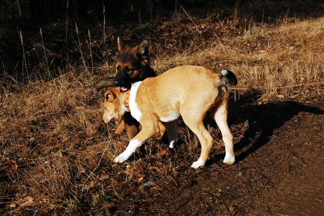 DSC_0011.JPG