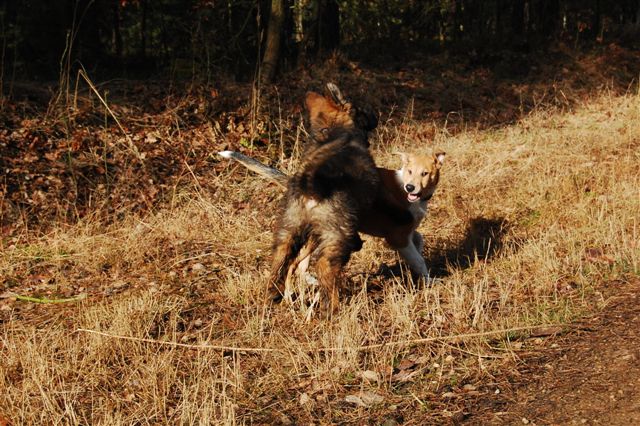 DSC_0014.JPG