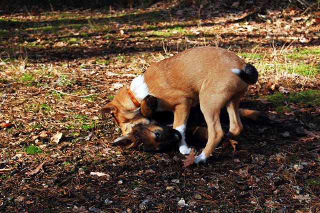 DSC_0028.JPG