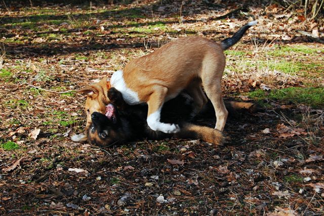 DSC_0030.JPG