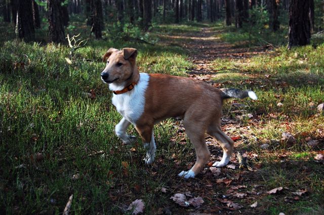 DSC_0037.JPG