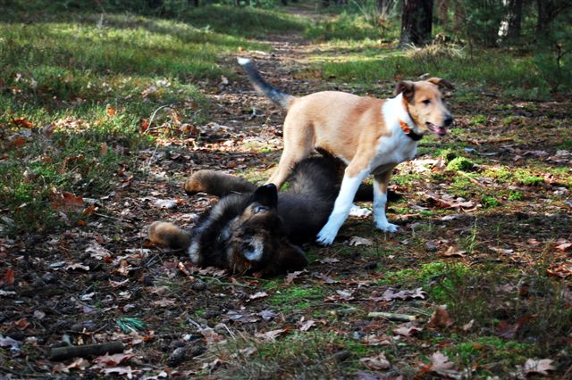 DSC_0038.JPG