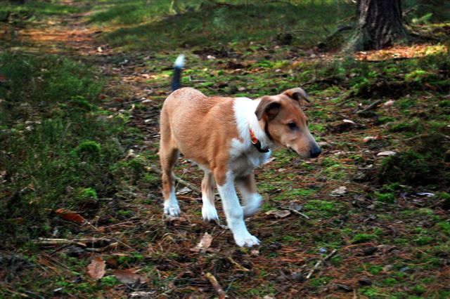 DSC_0051.JPG