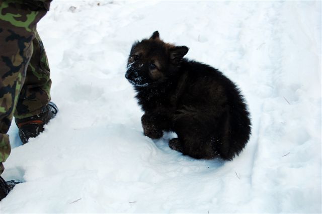 DSC_0010.JPG