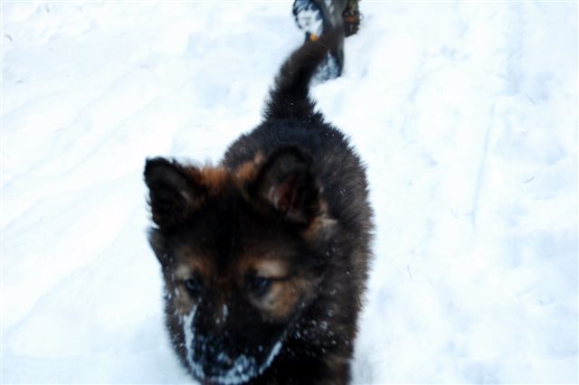 DSC_0011.JPG